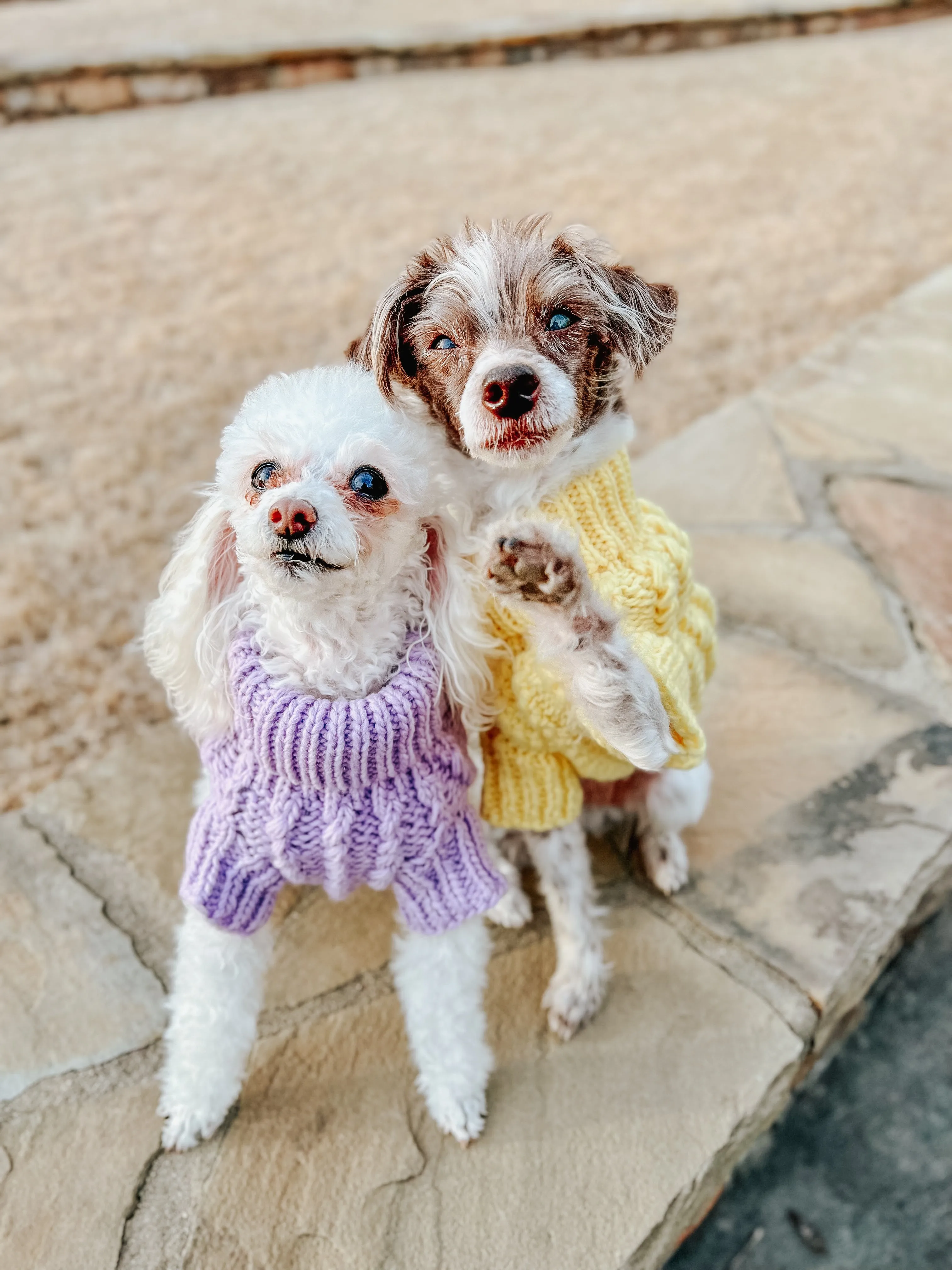 Dog Cable Knit Sweater - Lavender