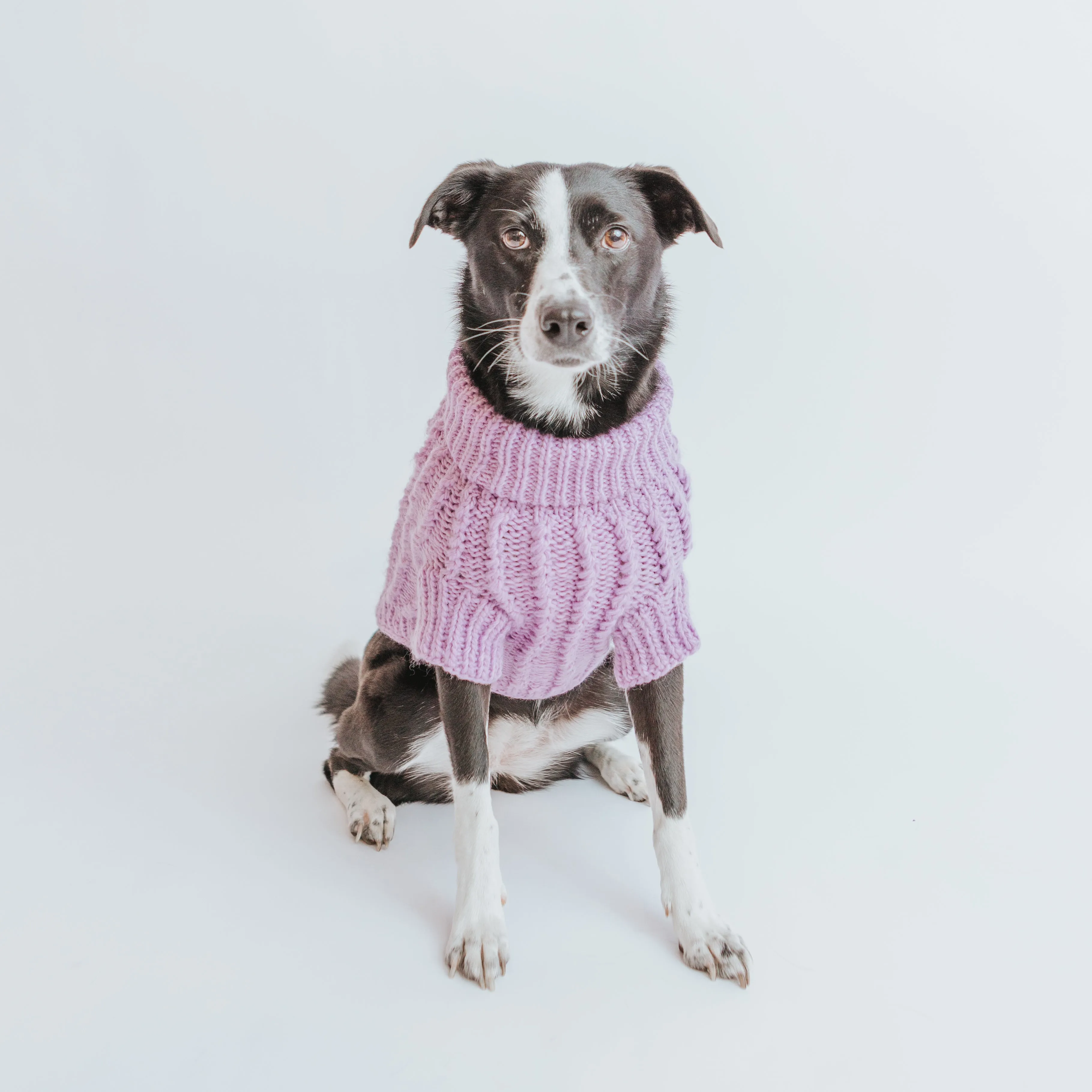 Dog Cable Knit Sweater - Lavender