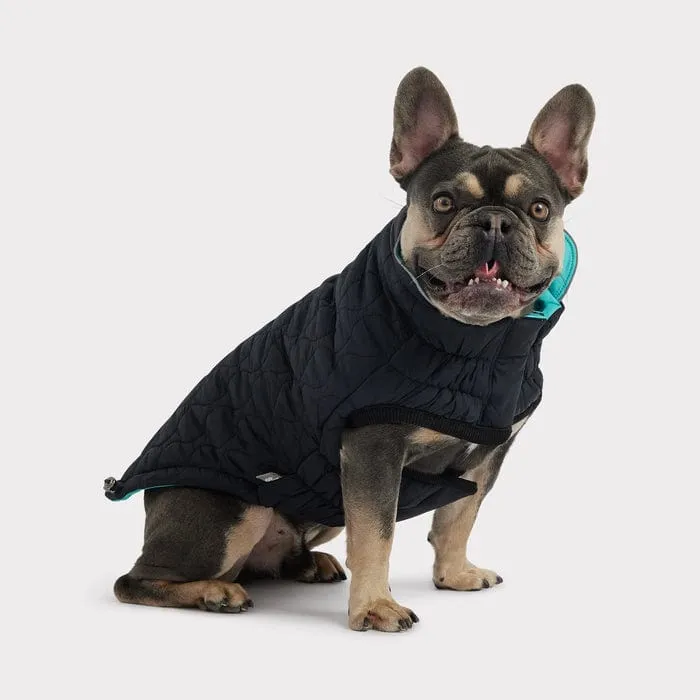 GF Pet Reversible Chalet Jacket - Black/Neon Aqua for Dogs