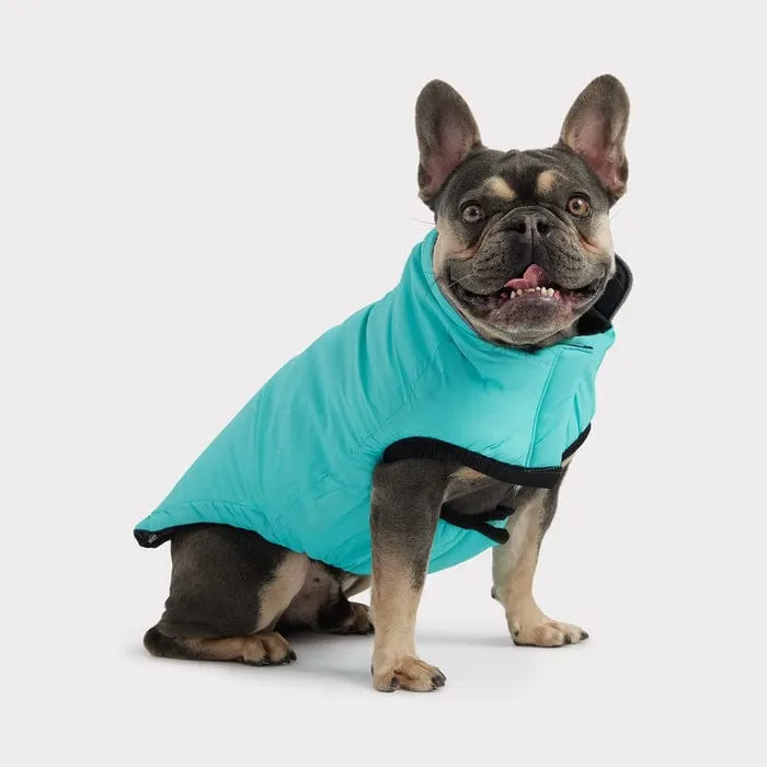 GF Pet Reversible Chalet Jacket - Black/Neon Aqua for Dogs